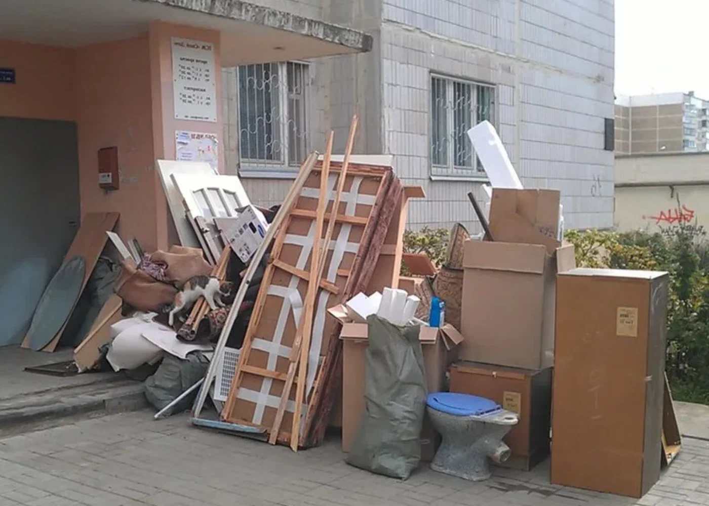 Профессиональный вывоз мусора из квартиры в Верхней Пышме в октябре