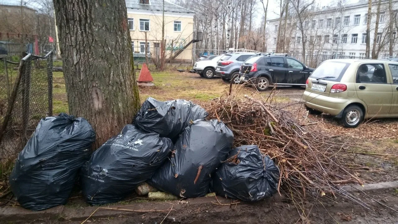 Вывоз мусора после субботника в Верхней Пышме от ПроМусор – уборка и утилизация отходов от 2411 руб