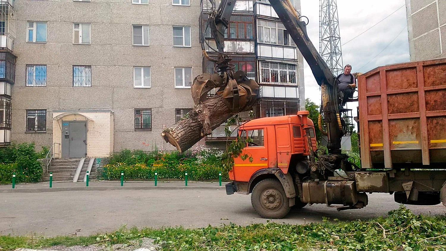 Вывоз спиленных веток и деревьев в Верхней Пышме от ПроМусор: порубочные остатки, утилизация, цена от 2975 руб