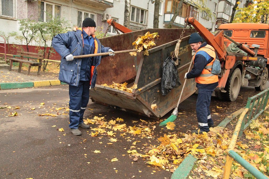 Вывоз опавшей листвы и растительного мусора в Верхней Пышме от ПроМусор – цена от 4617 руб., быстрая уборка и утилизация